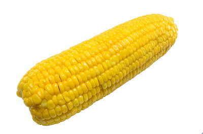 玉米