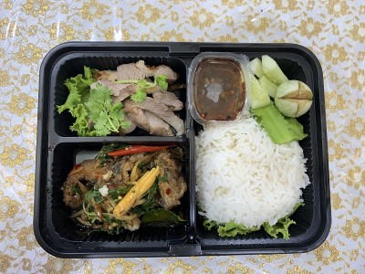 速溶饭盒