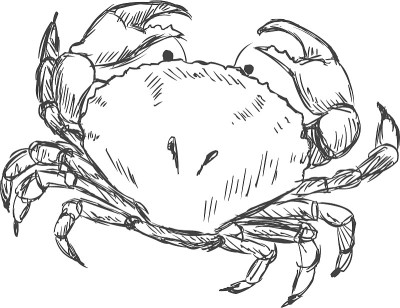 向量素描蟹