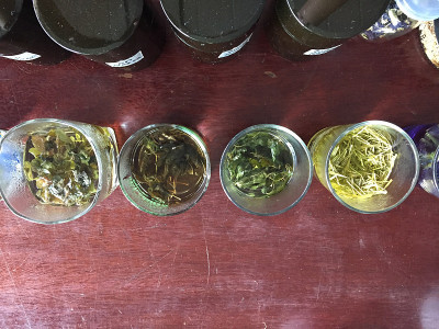 甜菊糖的成分。