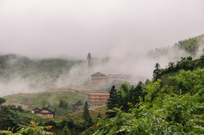 雾在山