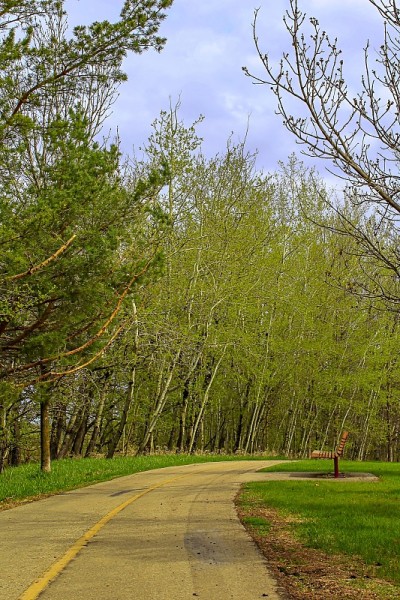 公园路的风景