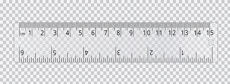 Vector realistic school ruler isolated on transpar