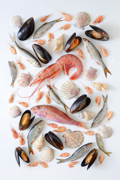海洋食品成分