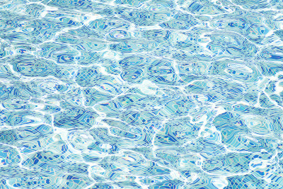 池的水