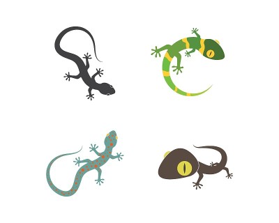 壁虎标志矢量图标插图