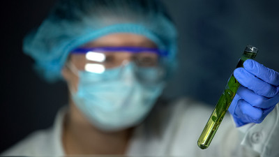 实验室工作人员拿着装有保存的绿色植物、香料油提取物的试管