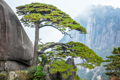 中国黄山风景区景观