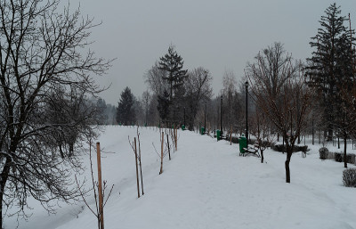 废弃的雪城公园在大雪中