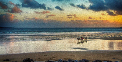 在海滩上画马的油画