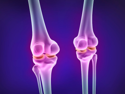 膝盖x光的观点。医用精准3D插图