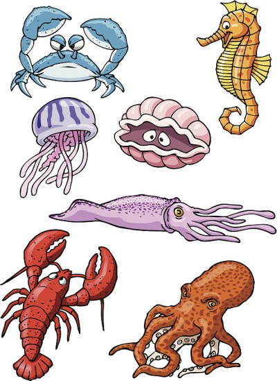 海洋生物