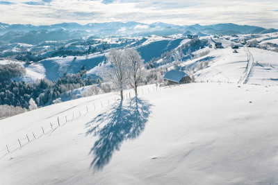 喀尔巴阡山脉下大雪