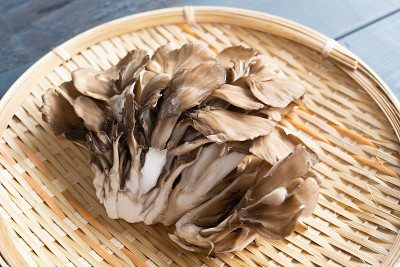 舞茸蘑菇