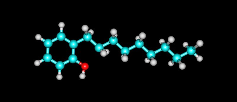 壬基酚的分子结构在黑上孤立