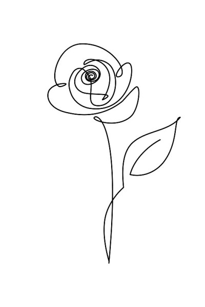 玫瑰花