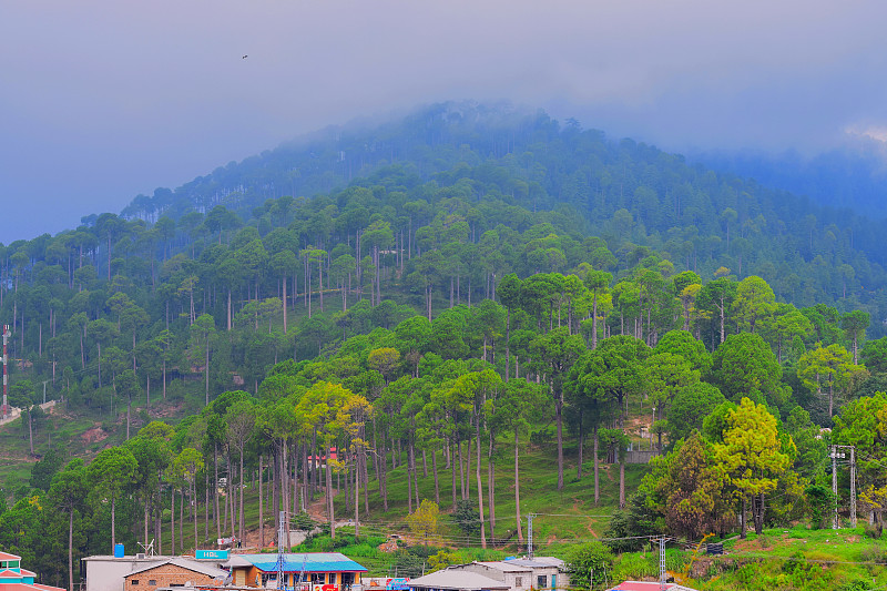 Murree巴基斯坦