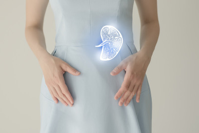 穿蓝衣服的女人手里拿着虚脾。手划人体器官，排毒和保健，保健医院服务概念库存照片