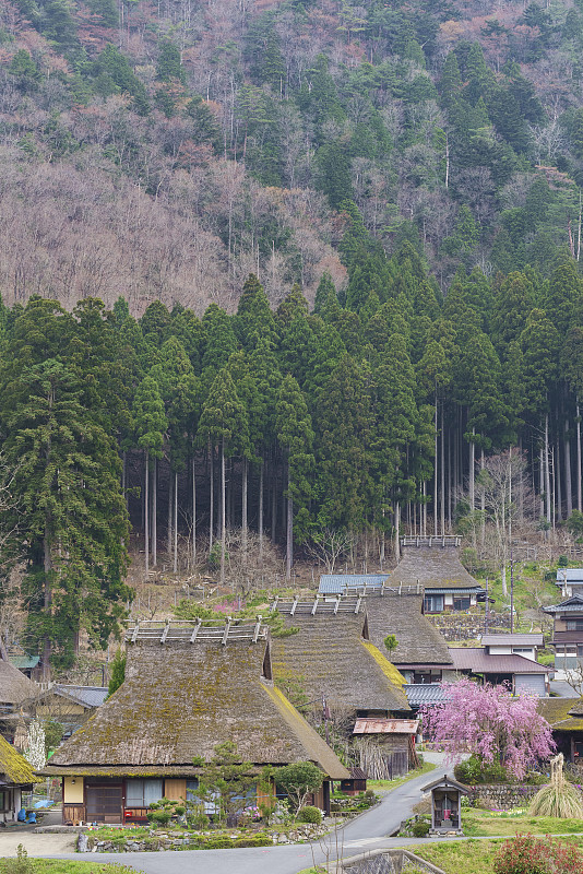 日本田园诗般的风景