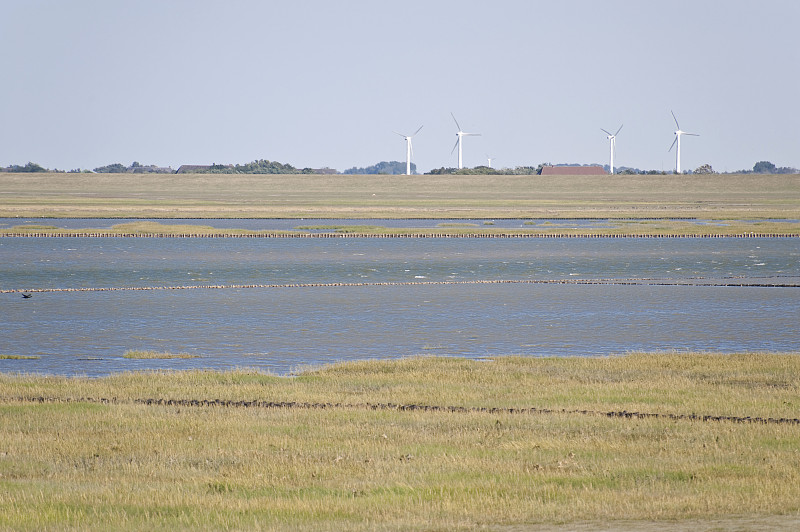 圣peter-ording