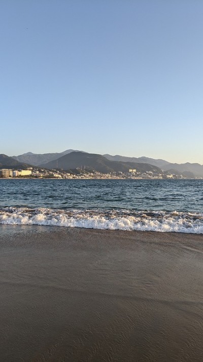 巴亚尔塔港河(图1)