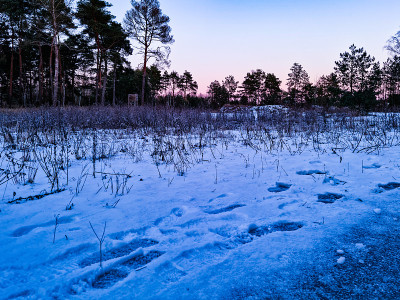 冰天雪地的冬季景观在黄昏，日落