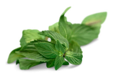 草