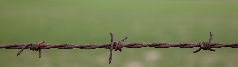 铁丝网
