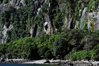 新西兰峡湾