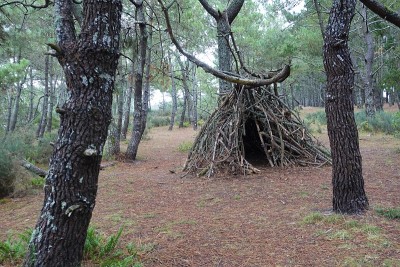 帐篷形状的树枝小屋海岸松树林季节夏天布列塔尼Finistère法国