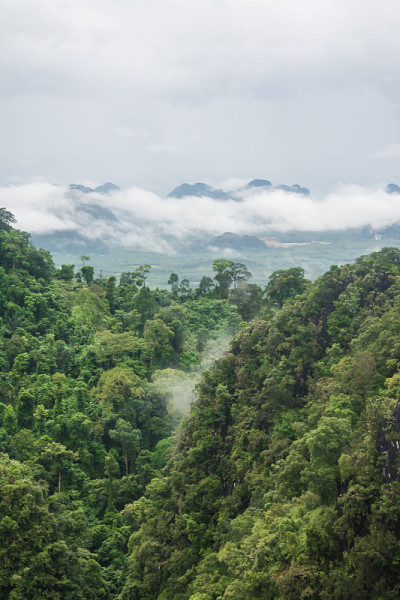 山和雾的景观，甲米，泰国