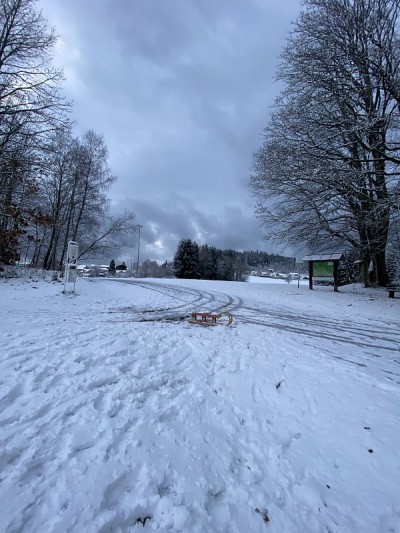 雪撬在雪中滑倒在斜坡上
