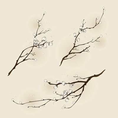 梅花与线条设计