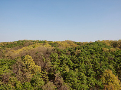 韩国清州的乡村景观