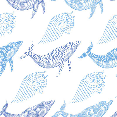 whale5
