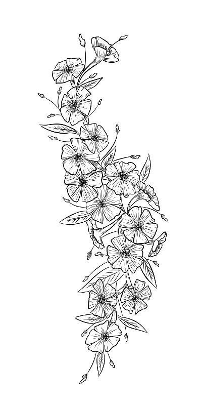 花图形插图素描纹身打印黑白素描