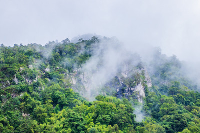 在泰国德省Doi Luang Tak雨季的观点和绿色的田野。