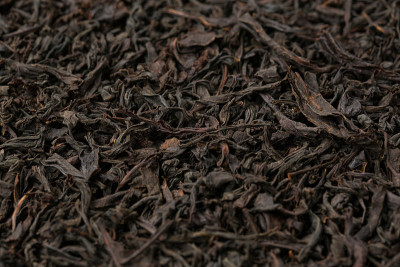 工作室里的大叶红茶
