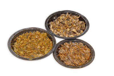 由油炸昆虫制成的开胃酒在欧洲被批准食用。法国粉虫和蚱蜢加香料和盐。未来的蛋白质食物。