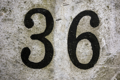 文字措词在破旧的州排版发现第36号