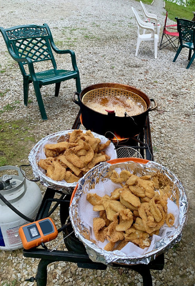 鱼苗