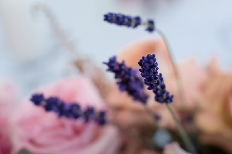 大紫色穗鲜花。婚礼鲜花装饰