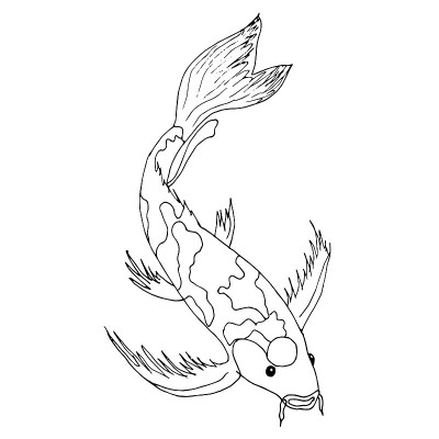 Koi carp. Fish monochrome design element object is