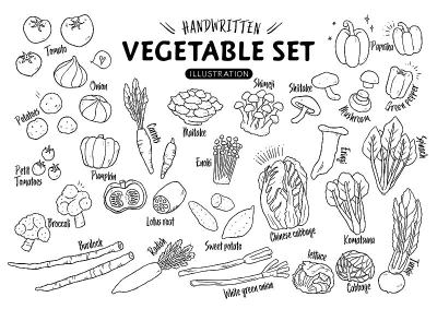 Handwritten rough vegetable illustration