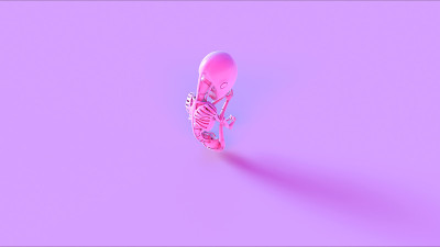 粉色未来人工智能胚胎宝宝