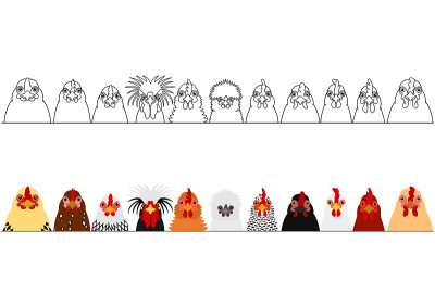 various chicken heads in a row