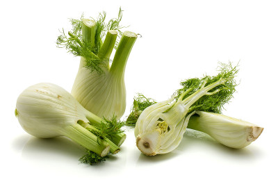 茴香孤立