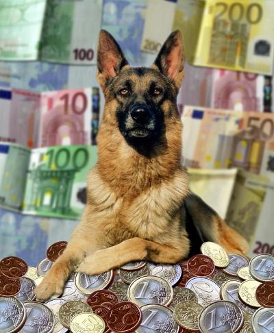 德国牧羊犬，宠物的价格