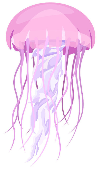 Jellyfish