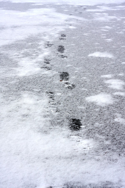 雪地上的人类脚印